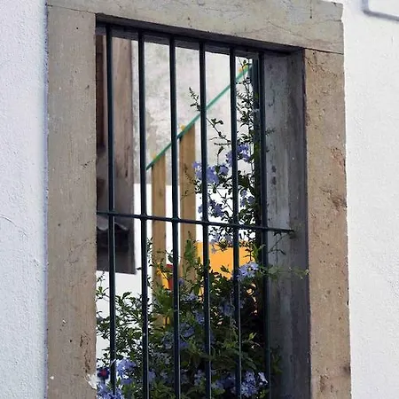 Apartment Cosy Flat In Historic Downtown